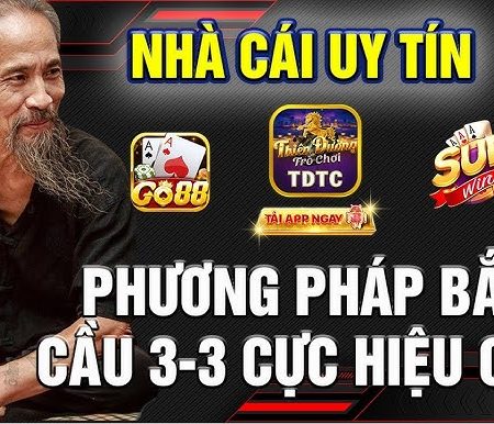 20Bet hướng dẫn các đá gà ăn tiền nhà cái