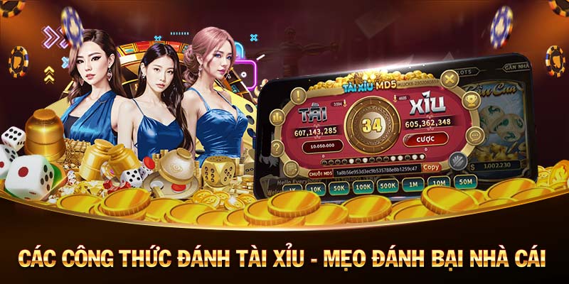 Tinycat99-Link truy cập nhanh - sự lựa chọn hàng đầu của bạn!